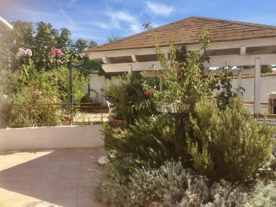 Superbe Appartement En Residence Avec Patio Villeneuve-lès-Maguelone Extérieur photo